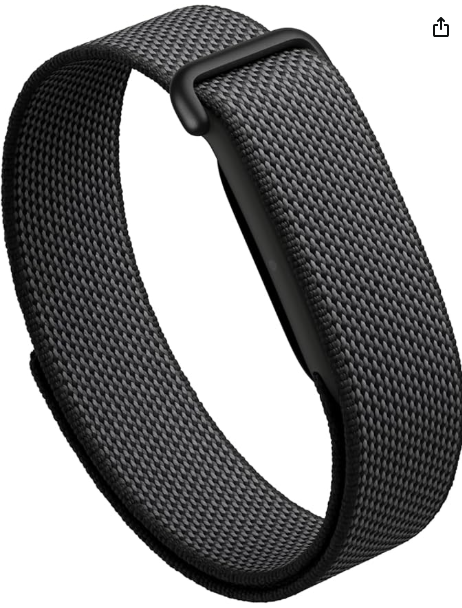 Google Fitbit Air