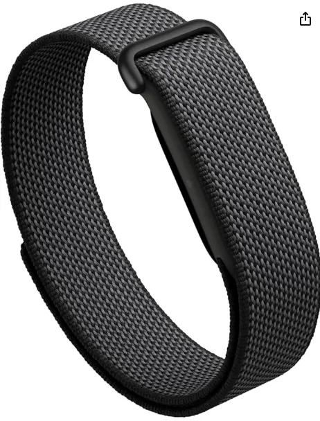 Google Fitbit Air