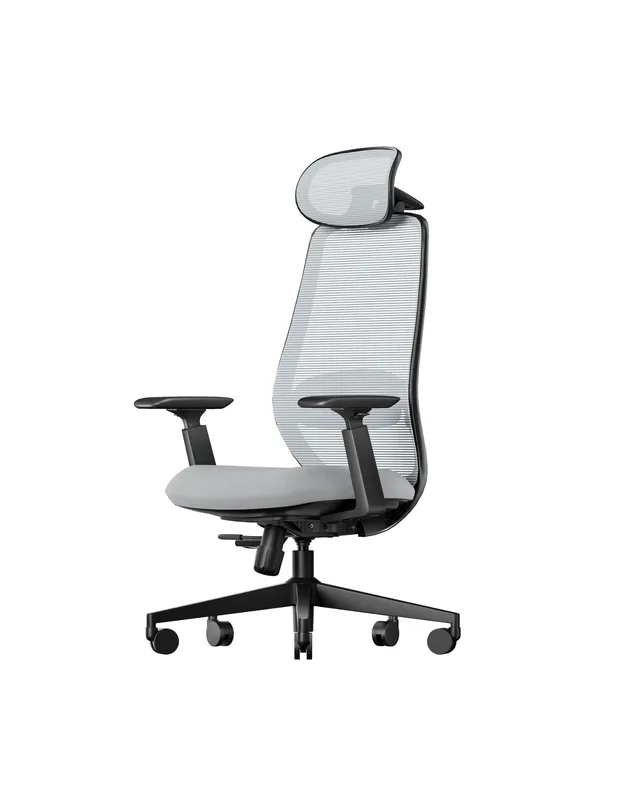 ProtoArc EC200 Ergonomic Office Chair